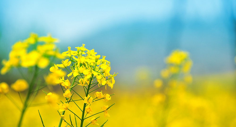 币安官网注册地址 币安币钱包